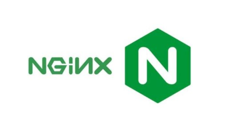 nginx挂载静态网页